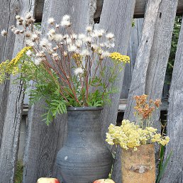 ���� ���������, ������ - ��������� 25 ������� 2025