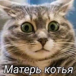 ���, �������