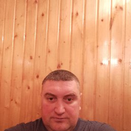 , 37, 