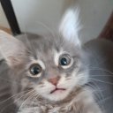 ���� ������, �����������, 48 ��� - ��������� 1 �������� 2025 � ������ ���� ����������