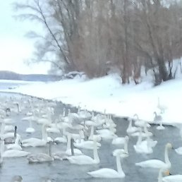 ����, ���������, 35 ���