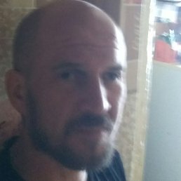 �����, �������, 43 ����