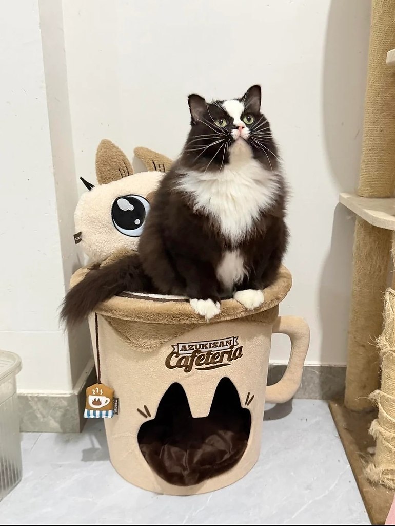    (2022)    (2025) - 2