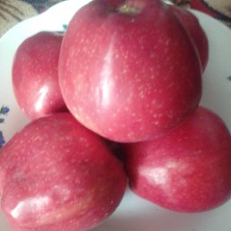 ���� �����, �����������, 47 ��� - ��������� 7 ������ 2026