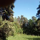 ������ �������� �� ������� ����������