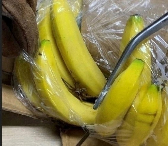 ����� ������� ��-�� 