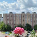 ���� ����������, ������, 54 ���� - ��������� 1 ���� 2025 � ������ ���� ����������