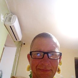 , 44, 