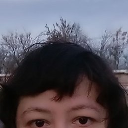 , 38, 