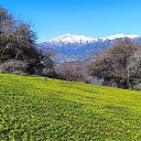 ���� �����, �������, 62 ���� - ��������� 2 ������ 2025 � ������ ���� ����������