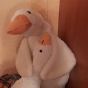 ���� ����, ������, 21 ��� - ��������� 5 ����� 2025 � ������ ���� ����������