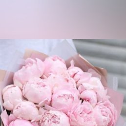 �������, ���������, 39 ���