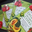 ���� �����, ������ - ��������� 26 ������� 2024 � ������ ���� ����������