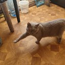 ���� ����, �����������, 48 ��� - ��������� 20 ������� 2025 � ������ ���� ����������