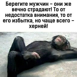 ���� �����, ��������, 50 ��� - ��������� 24 ������� 2023