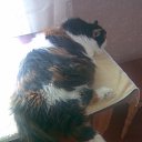 ���� Gerom, ������� - ��������� 13 ������ 2025 � ������ ������ ��������