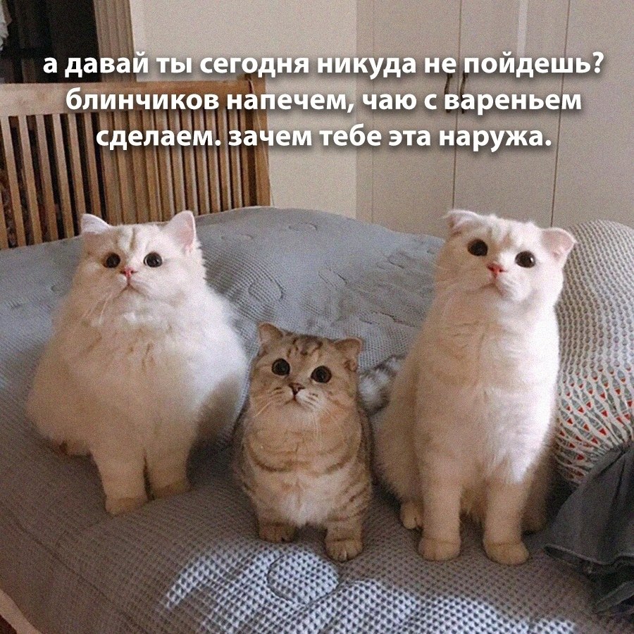 ��� �������� �������� - 24 ������ 2025 � 08:11