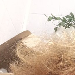 ����, ������, 24 ����