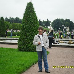 , 55, 