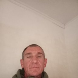 ����, 49 ���, ���������