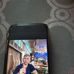, 43, 