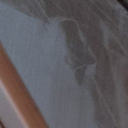 �������������, ������, 48 ���