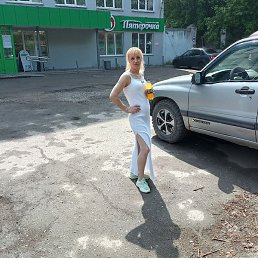 ������, �����, 41 ���