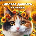 ���� �������, ��������, 56 ��� - ��������� 8 ���� 2026 � ������ ������ ��������