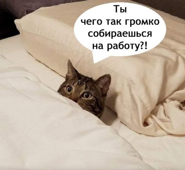       - 28  2025  11:22 - 2