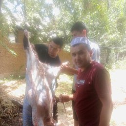 ����, �������, 35 ���