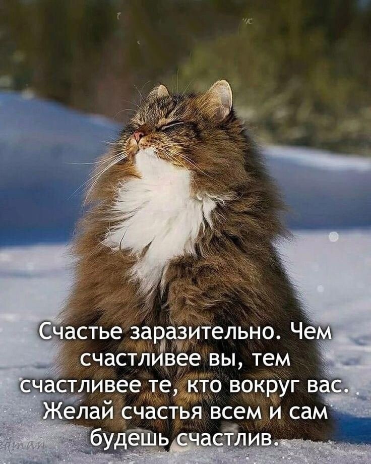  - 19  2024  16:59