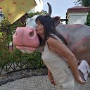 ���� ������, ������ - ��������� 2 ��� 2024 � ������ ���� ����������