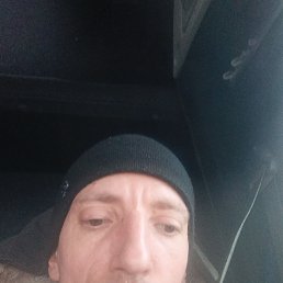 ������, 41 ���, ������