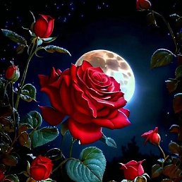 ���� �������, ������, 46 ��� - ��������� 4 ������ 2024