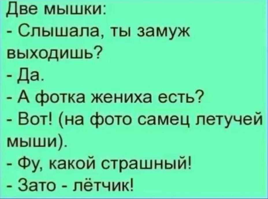  - 6  2025  06:01