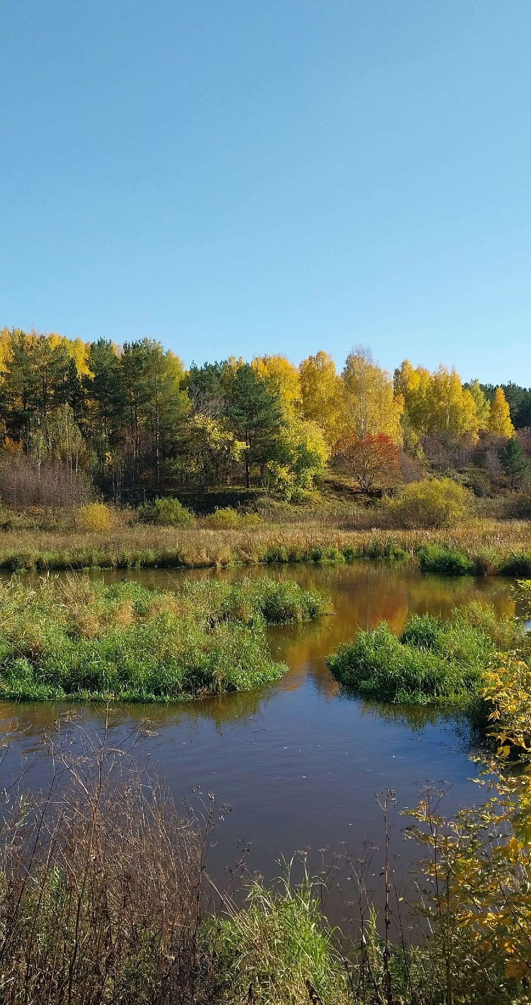 ���������, ���� �������... - 6