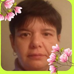 ������, ������, 44 ����