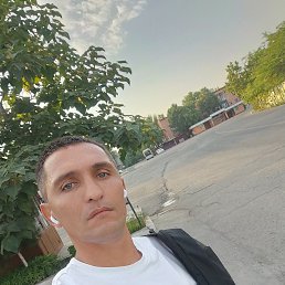 ����, �������, 44 ����