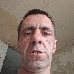, , 41 