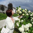 ���� Swetmichal, ������, 48 ��� - ��������� 16 �������� 2024
