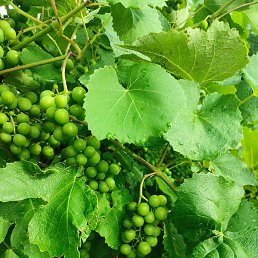 ���� �����, �����-���������, 47 ��� - ��������� 26 ������� 2025