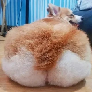 ������ �������� �������� �� ���������� ������: � ����� ����� � �������� � ���� ������� ����������� ... - 3