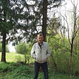 ������, �������, 55 ���