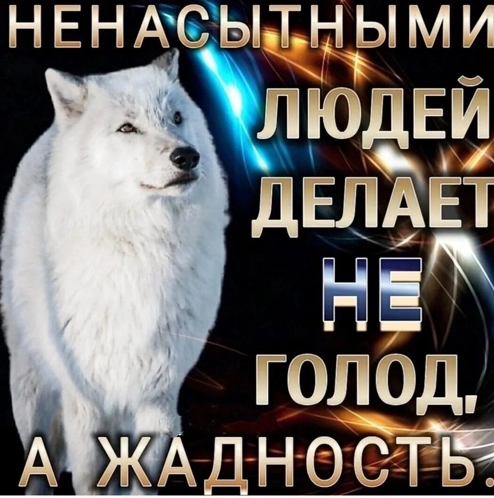 ��� ���� - 13 ����� 2026 � 15:26
