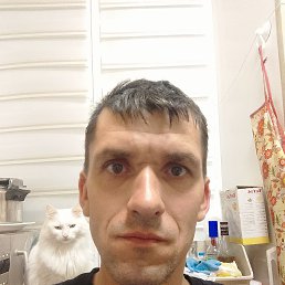 , 40 , 