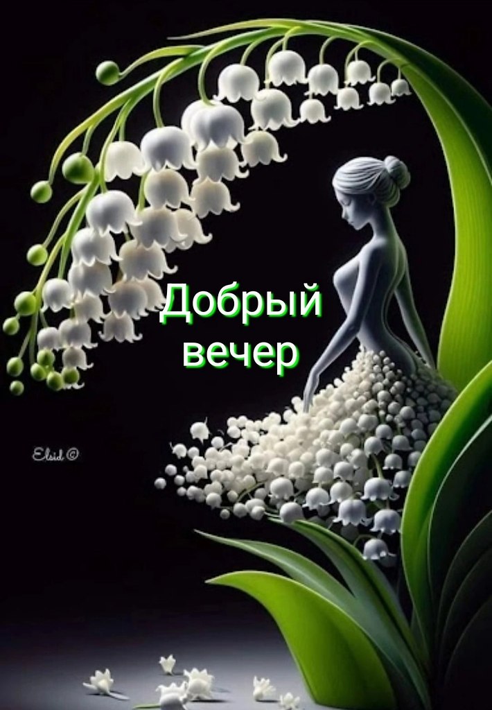   ,    . - 14  2025  17:38
