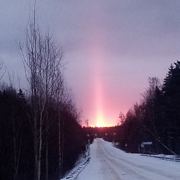 ���� ������, ������, 33 ���� - ��������� 21 ������ 2024