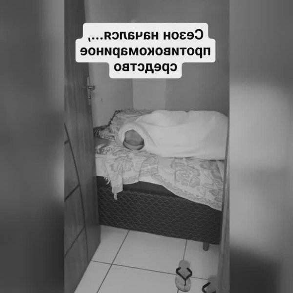 ������ ������ �� �������) - 2