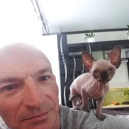 , 50, 
