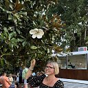 ���� �������, �������, 43 ���� - ��������� 25 ����� 2025 � ������ ���� ����������